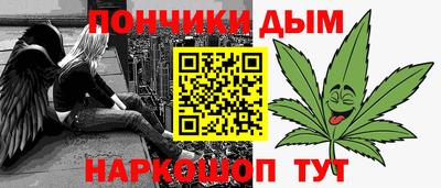 альфа пвп Новодвинск