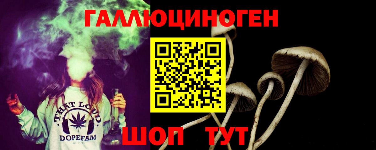 Сосновоборск  что такое   Вход с VPN  Псилоцибиновые грибы ЛСД 