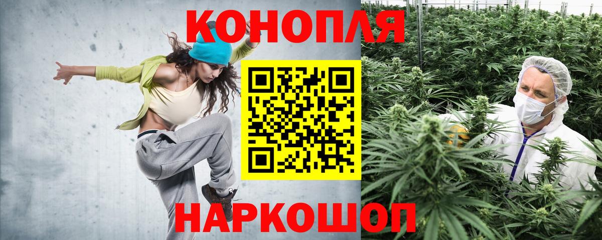 Шишки марихуана марихуана Сосновоборск
